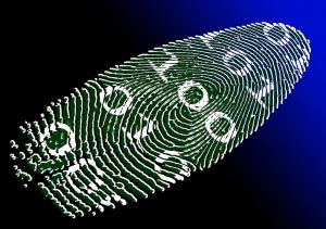 E-kereskedelem és kibervédelem – Digitális kihívások és szakemberhiány