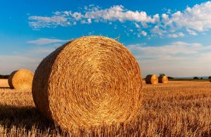 Könnyebb lehet a gazdáknak: okosfejlesztések a mezőgazdaságban
